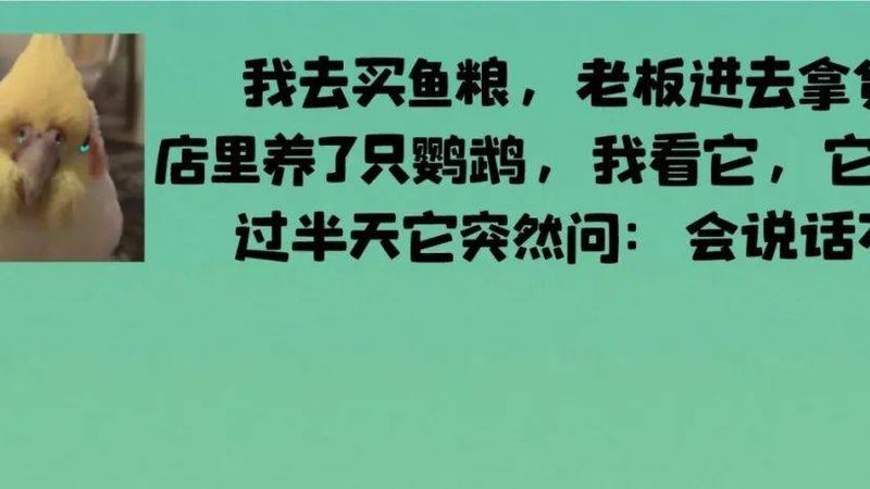 食品批发网站价格对比：揭秘选购之道